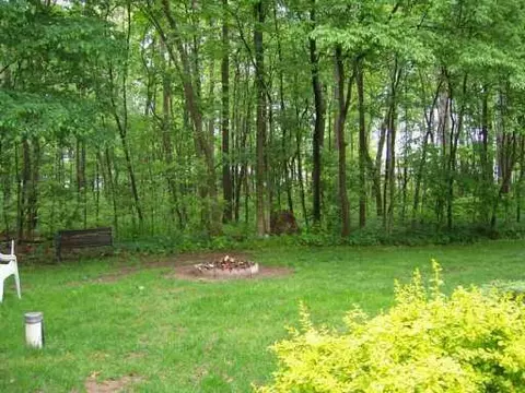 6530 Brooklyn, Update, MI 49261 photo 5