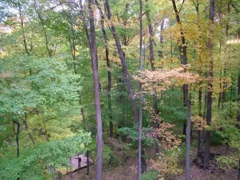 9640 Joslin Lk, Gregory, MI 48137 photo 8