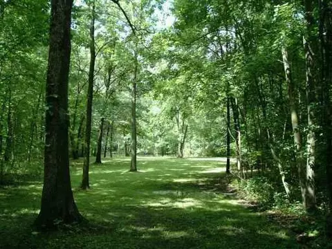 8255 Huron Riv, Dexter, MI 48130 photo 6