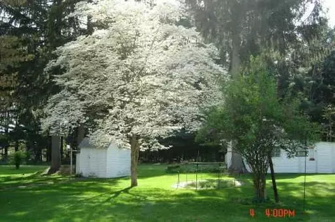 404 N Main Streeet, Gregory, MI 48137 photo 6