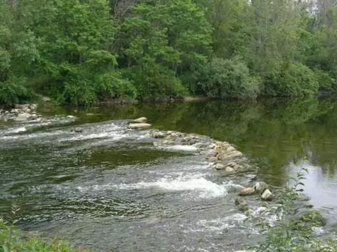 9789 Huron River Dr, Dexter, MI 48130 photo 3