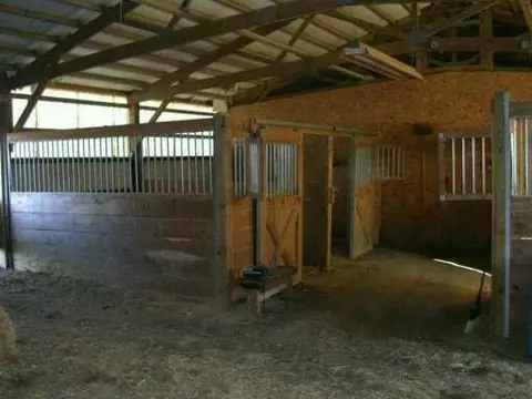 6550 W Joy, Dexter, MI 48130 photo 6