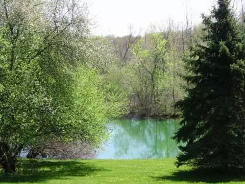 6550 W Joy, Dexter, MI 48130 photo 5