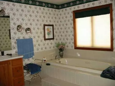 2224 N Zeeb, Dexter, MI 48130 photo 6