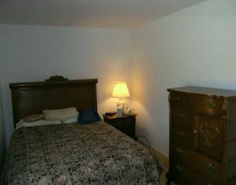 11951 Trinkle, Dexter, MI 48130 photo 3