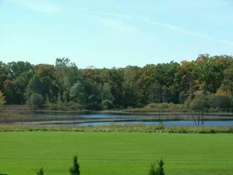 2736 Sand Hl, Dexter, MI 48130 photo 8