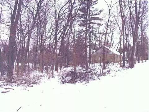 157 Bullis, Gregory, MI 48137 photo 4