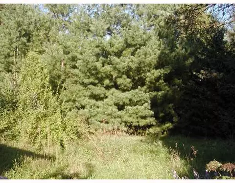 11835 Beech Rd, Brooklyn, MI 49230 photo 5