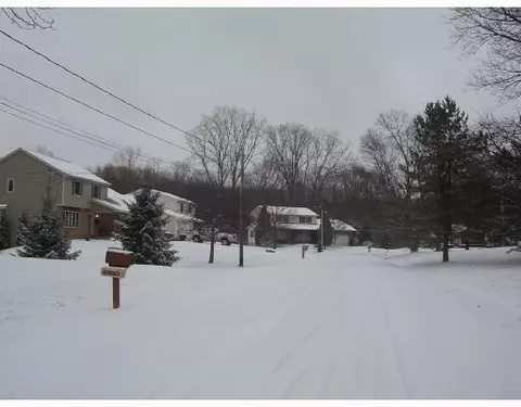 4835 Sequoia, Jackson, MI 49201 photo 8