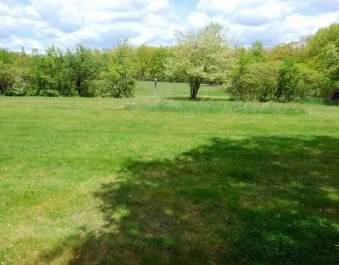 6250 Marshall Rd, Dexter, MI 48130 photo 6