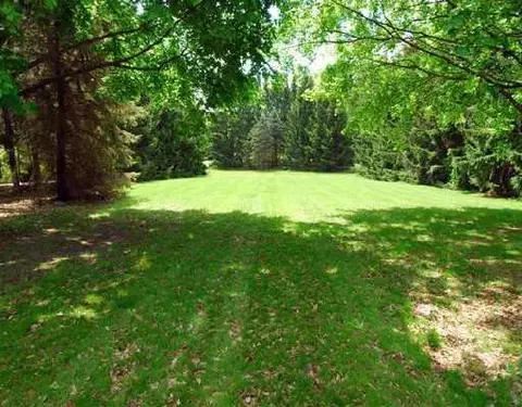 6250 Marshall Rd, Dexter, MI 48130 photo 4