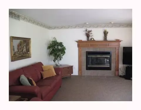 6660 Ralaric Dr, Dexter, MI 48130 photo 5