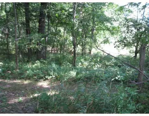11173 Mt Hope, Munith, MI 49259 photo 7