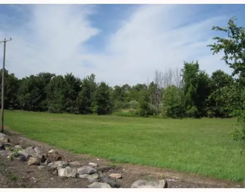 11173 Mt Hope, Munith, MI 49259 photo 4