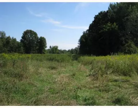 11173 Mt Hope, Munith, MI 49259 photo 9
