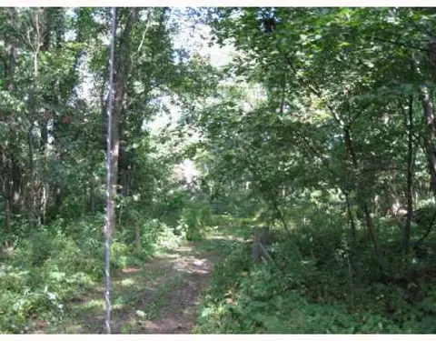 11173 Mt Hope, Munith, MI 49259 photo 8
