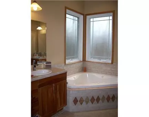 9303 W Huron Riv, Dexter, MI 48130 photo 10