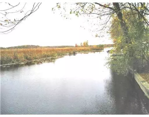 1008 Tamara, Gregory, MI 48137 photo 8