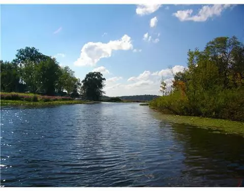 1008 Tamara, Gregory, MI 48137 photo 10