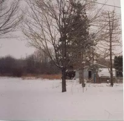 1665 W Willis, Saline, MI 48176 photo 4