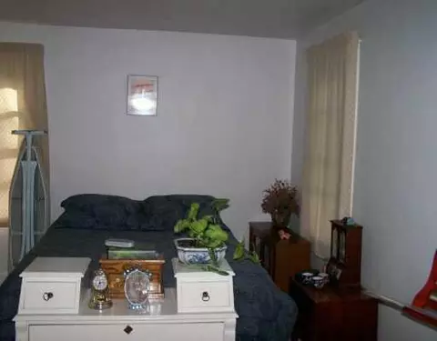 215 S Second, Brighton, MI 48116 photo 5