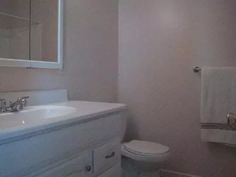 411 Iris, Saline, MI 48176 photo 7