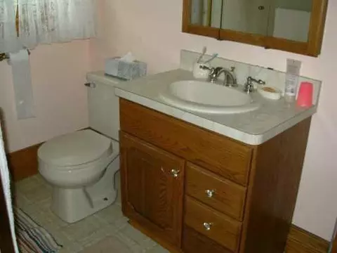 17303 Ely Rd, Manchester, MI 48158 photo 6