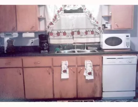 356 Elm, Britton, MI 49229 photo 6