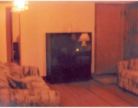 356 Elm, Britton, MI 49229 photo 3