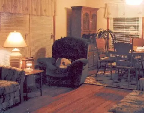 356 Elm, Britton, MI 49229 photo 4