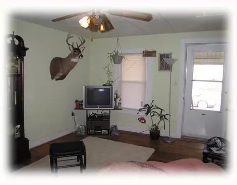 824 State, Adrian, MI 49221 photo 5