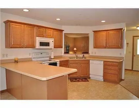513 Red Maple Dr, Tecumseh, MI 49286 photo 4