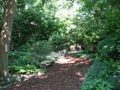 437 Spring, Ann Arbor, MI 48103 photo 4