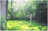 2130 Runnymede, Ann Arbor, MI 48103 photo 7