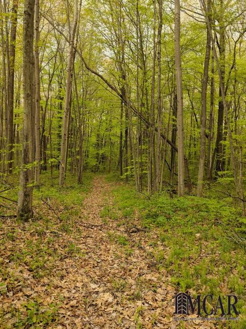 13035 Maxwell Rd, Carleton, MI 48117 photo 17