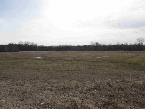 13540 Capernall, Carleton, MI 48117 photo 6