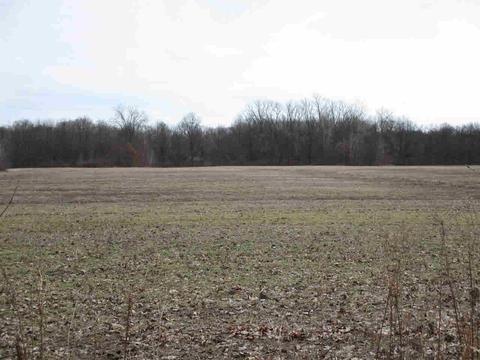 13540 Capernall, Carleton, MI 48117 photo 3
