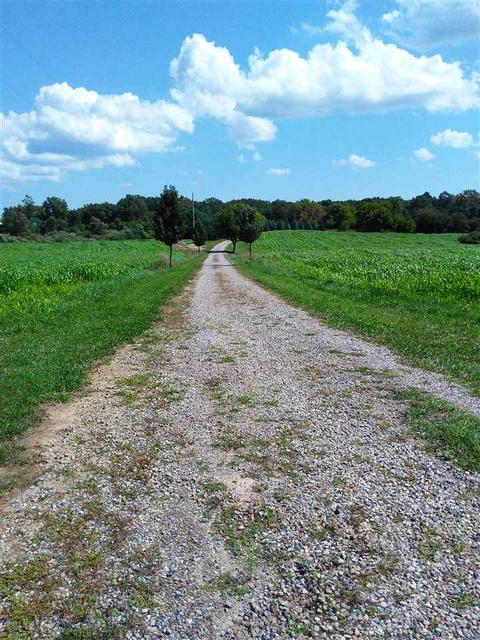 1111 S Loree Rd, Washington, MI 48419 photo 5