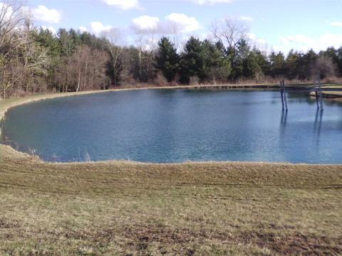 1111 S Loree Rd, Washington, MI 48419 photo 1