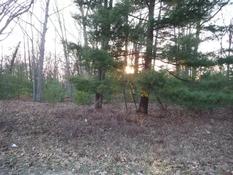 Nnn Indian Oaks Lot 2, Prudenville, MI 48651