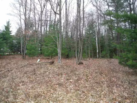 Nnn Indian Oaks Lot 9, Prudenville, MI 48651