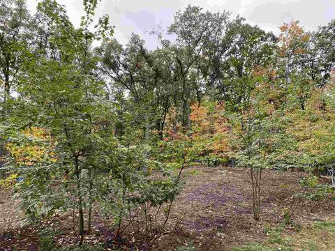 403 Sheffield Roscommon Mi 48653, Roscommon, MI 48653 photo 12