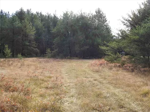 11031 Baldwin, Roscommon, MI 48653 photo 9