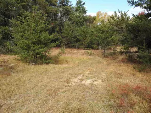 11031 Baldwin, Roscommon, MI 48653 photo 1