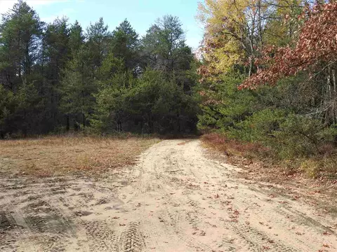11031 Baldwin, Roscommon, MI 48653 photo 2