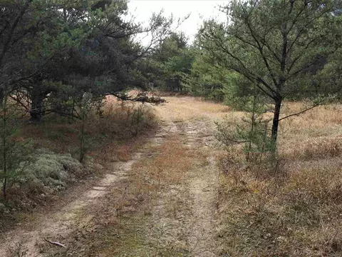 11031 Baldwin, Roscommon, MI 48653 photo 8