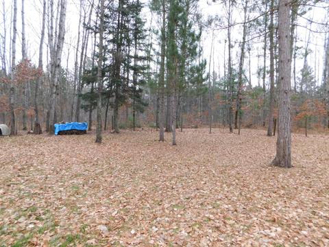 407 W North Down River Rd, Grayling, MI 49738 photo 30