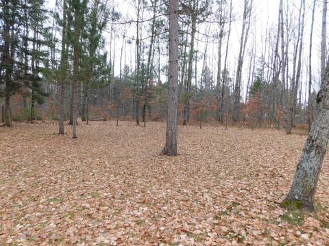 407 W North Down River Rd, Grayling, MI 49738 photo 29