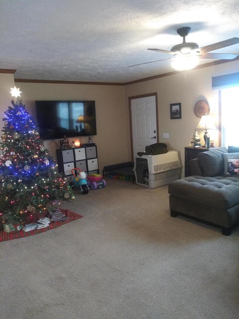 3500 Grange Hall Rd, Wolverine, MI 49799 photo 53
