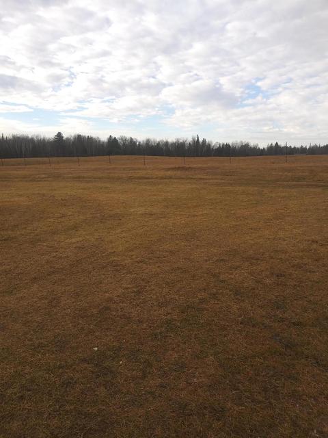 3500 Grange Hall Rd, Wolverine, MI 49799 photo 146
